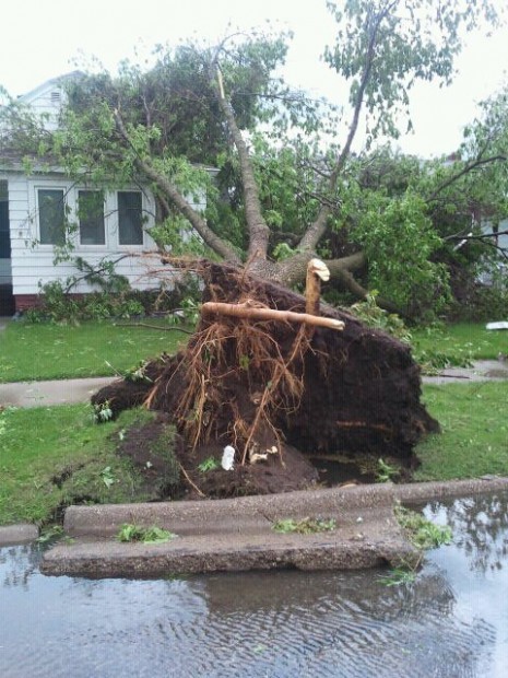 Storm tree